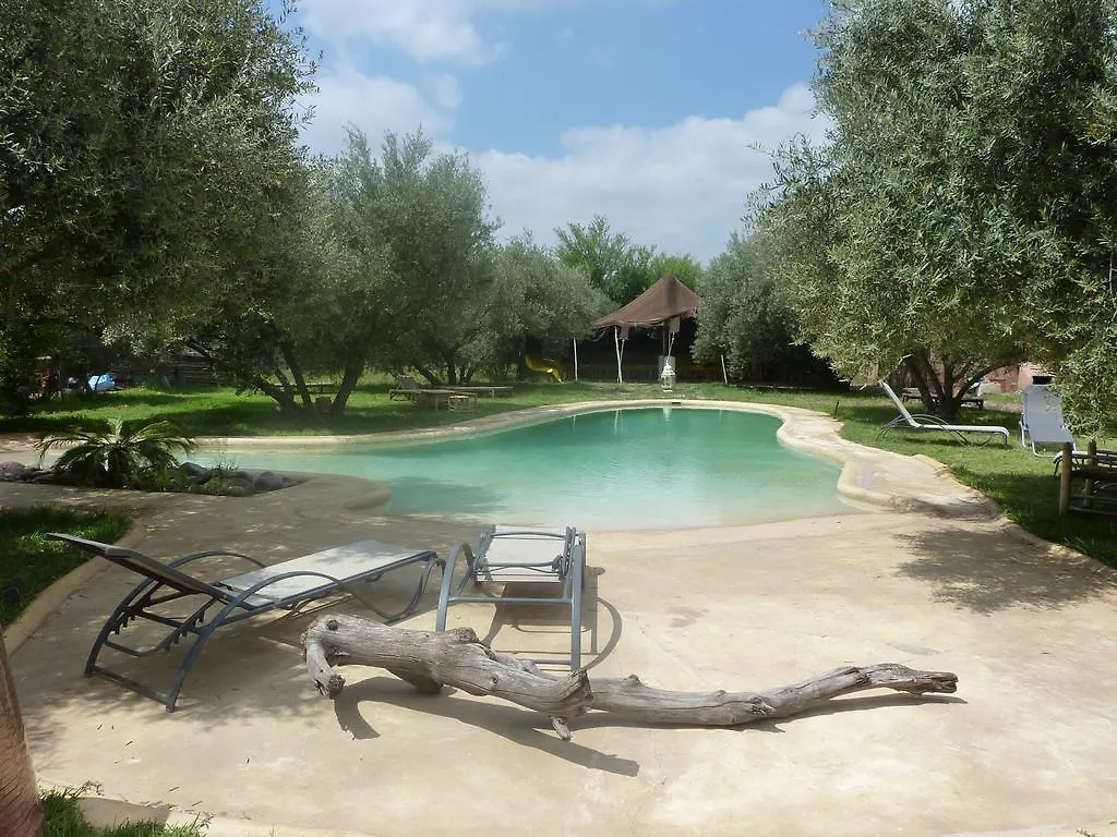 Dar Tougga location